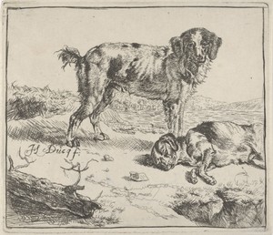 Staande en slapende hond