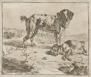 Staande en slapende hond