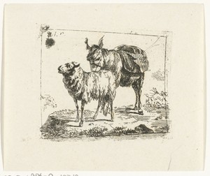 Staande ezel en schaap