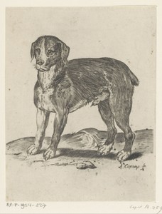 Staande hond