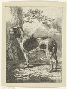Staande hond bij boom