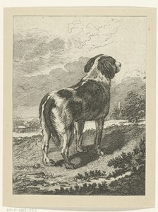 Staande hond in landschap
