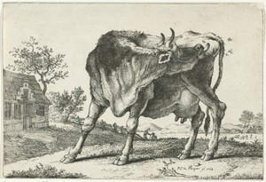 Staande koe