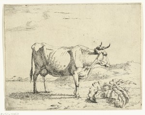 Staande koe, en profil