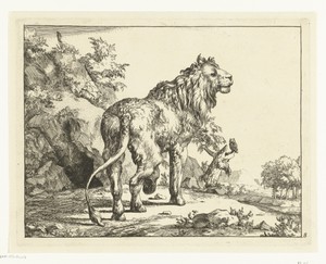 Staande leeuw, van achter gezien, de kop opzij