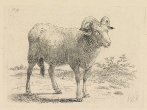 Staande ram