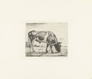 Staande stier