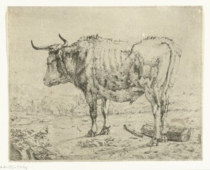 Staande stier, blok hout bij poten