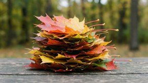 Stack of Autumn Leaves