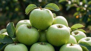 Stack of Green Apples