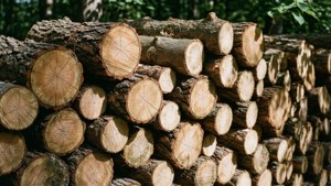 Stacked Woodpile
