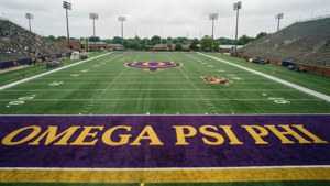 Stadium Field