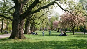 Stadsparken Spring