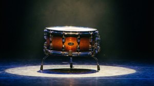 Stage Spotlight Snare