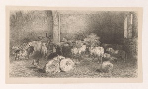 Stalinterieur met schapen, geiten en kippen