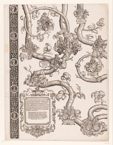 Stamboom van Frederik en Ottheinrich van Palts-Neuburg (plaat 4)
