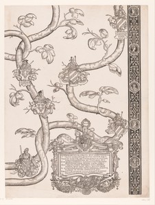 Stamboom van Frederik en Ottheinrich van Palts-Neuburg (plaat 6)