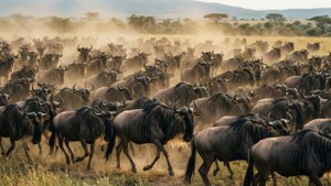 Stampede of Giants