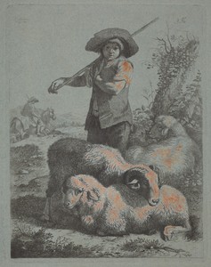 Standing Shepherd