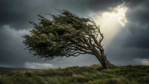 Standing Strong
