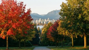 Stanley Park Autumn Path