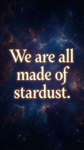 Stardust Quote