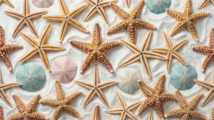 Starfish Sand Art