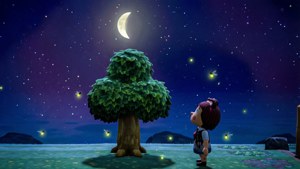 Stargazing on the Island