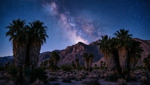 Starry Desert Night