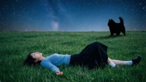 Starry Field Dream