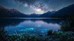 Starry Lake Reflection