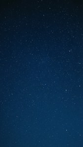 Starry Navy Night