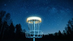 Starry Night Basket