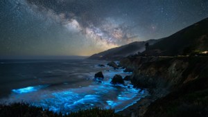 Starry Night Bioluminescence