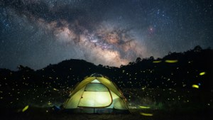 Starry Night Camping