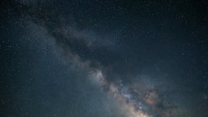 Starry Night Cosmos