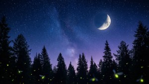 Starry Night Glow