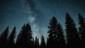 Starry Night Grain