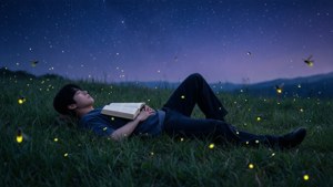 Starry Night Reading