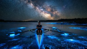 Starry Night Row