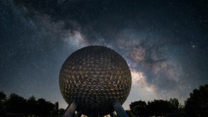 Starry Night Silhouette