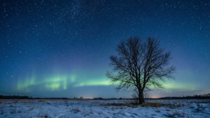Starry Night Snow