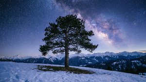 Starry Night Snowscape