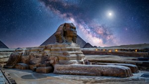 Starry Night Sphinx
