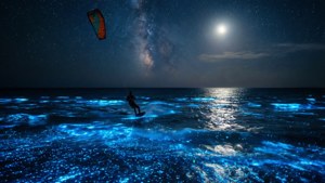 Starry Night Surf
