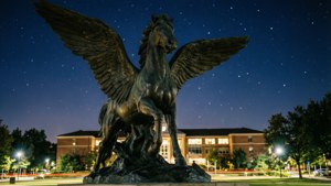 Starry Pegasus