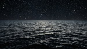 Starry Reflection