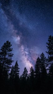 Starry Worth