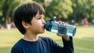 Stay Hydrated