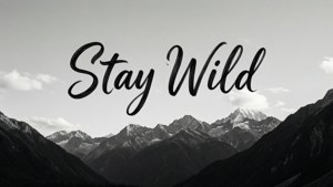 Stay Wild Quote